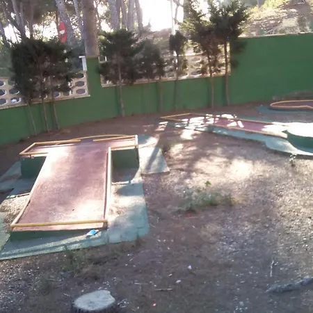 Escaliro Pins