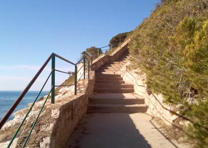 Escaliro Pins